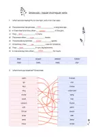 Vorschau - Arbeitsblätter - simple past - regular and irregular verbs - Seite 3