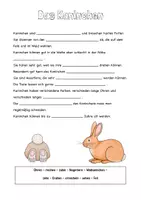 Vorschau - Arbeitsblätter - Expertenheft Haustiere (Freiarbeitsmaterial) #silvesterknaller - Seite 3