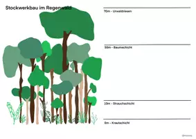 Vorschau - Arbeitsblätter - Regenwald Stockwerkbau - Seite 3