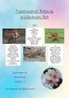 Vorschau - Poster - Tafelmaterial Waldtiere (Rotfuchs, Reh, Wildschwein) - SAS - Deckblatt