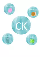 Vorschau - Arbeitsblätter - Arbeitsblätter ck - Seite 1