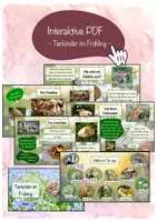 Vorschau - Interaktives Material - Interaktive PDF Tierkinder im Frühling #zweifürzwei - Deckblatt