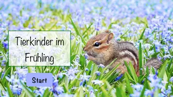 Vorschau - Interaktives Material - Interaktive PDF Tierkinder im Frühling #zweifürzwei - Seite 1