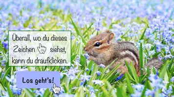 Vorschau - Interaktives Material - Interaktive PDF Tierkinder im Frühling #zweifürzwei - Seite 2