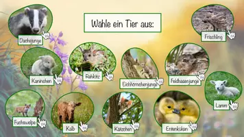 Vorschau - Interaktives Material - Interaktive PDF Tierkinder im Frühling #zweifürzwei - Seite 3