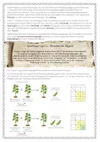 Vorschau - Arbeitsblätter - Arbeitsblatt - Mendelsche Vererbungslehre - Seite 1