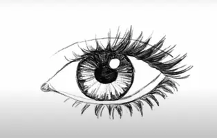 Vorschau - Arbeitsblätter - Auge zeichnen Schritt für Schritt, Arbeitsblatt - Deckblatt