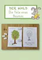 Vorschau - Anderer Materialtyp - Die Teile eines Baumes - Deckblatt
