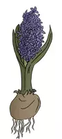 Vorschau - selbst erstellte Cliparts/Grafiken - Frühblüher Cliparts SET (privat & kommerziell) - Seite 2
