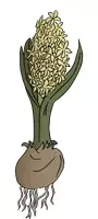 Vorschau - selbst erstellte Cliparts/Grafiken - Frühblüher Cliparts SET (privat & kommerziell) - Seite 3