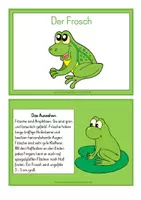 Vorschau - Unterrichtsreihen - Tierkartei mit Abschreibheftchen – FROSCH - Seite 1