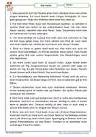 Vorschau - Arbeitsblätter - Sachtexte Haustiere mit Arbeitsblättern - Seite 3