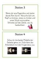 Vorschau - Arbeitsblätter - Der menschliche Körper - Die Gelenke - Seite 2