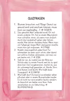 Vorschau - Spiele - Einführung ß - Rätselstunde - Seite 3