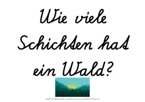 Vorschau - Spiele - Tafelspiel Wald (Bäume, Schichten, Tiere, Pilze, Verhalten, Funktion) SAS - Seite 2