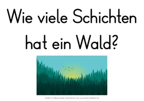 Vorschau - Fördermaterial/Inklusion - Tafelspiel Wald (Bäume, Schichten, Tiere, Pilze, Verhalten, Funktion) Druckschrift - Seite 2