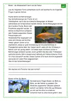 Vorschau - Stundenentwürfe - Was ist Bionik? Texte, Aufgaben und Lösungen - Seite 2