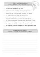 Vorschau - Arbeitsblätter - Doppelmitlaut nn - Groß- und Kleinschreibung - Seite 2