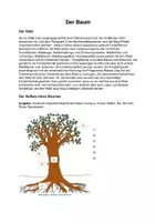 Vorschau - Arbeitsblätter - Sparpaket: Baum - Holz - Eigenschaften von Holz - Seite 1