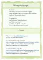 Vorschau - Präsentationen/Tafelbilder - Schmetterling - Körperbau (Tafelmaterial) - Seite 2