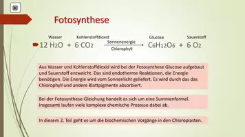 Vorschau - Unterrichtsreihen - Fotosynthese I und II - Seite 3