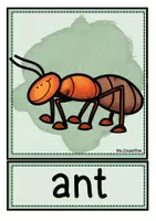 Vorschau - Poster - Tafelkarten Englisch: 11 Spring Animals mit Mini-Vokabelblatt - Seite 3