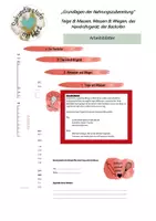 Vorschau - Arbeitsblätter - Grundlagen der Nahrungszubereitung - Deckblatt