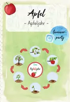 Vorschau - Arbeitsblätter - Apfel: Unterrichtsreihe (Kl. 1) - Seite 1