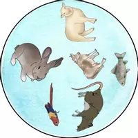 Vorschau - Spiele - Doppelsymbolspiel - les animaux & les couleurs (Dis Donc 5 Unité 5) - Seite 2