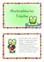 Vorschau - Arbeitsblätter - Abschreibkartei Frösche - Seite 2