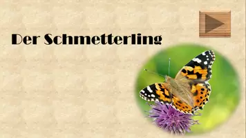 Vorschau - Unterrichtsreihen - Sparpaket der Schmetterling und Wiesentiere interaktiv #silvesterknaller - Seite 1