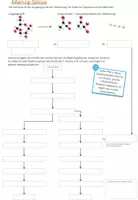 Vorschau - Arbeitsblätter - Biochemie der Zellatmung (Oberstufe) - Deckblatt