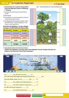 Vorschau - Arbeitsblätter - Im tropischen Regenwald - Deckblatt