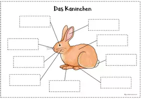 Vorschau - Aufgabenkarten - Klettmappe - Haustiere - Das Kaninchen - Seite 1
