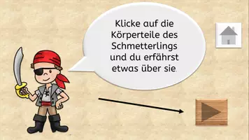 Vorschau - Bildkarten - Aufbau des Schmetterlings interaktive PDF mit Informationen - Seite 1