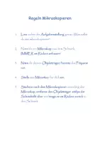 Vorschau - Arbeitsblätter - Regeln Unterricht und Mikroskopie - Seite 2