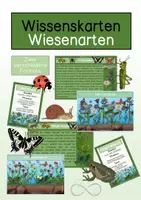 Vorschau - Stationenlernen - Wissenskarten - Wiesenarten - Deckblatt