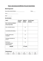 Vorschau - Anderer Materialtyp - Bewertungsraster: Einen Versuch beschreiben - Seite 1