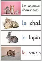Vorschau - Stationenlernen - Paare finden Les animaux domestiques - Seite 1