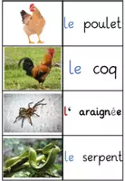 Vorschau - Stationenlernen - Paare finden Les animaux domestiques - Seite 2
