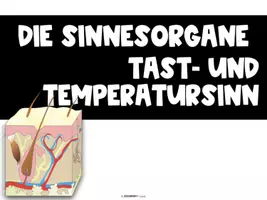 Vorschau - Unterrichtsreihen - Sinnesorgane - Die Haut - komplette Einheit - Seite 1