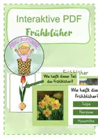 Vorschau - Test - Quiz: Frühblüher (interaktive PDF) - Deckblatt