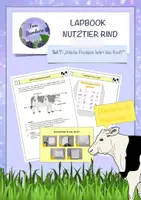 Vorschau - Arbeitsblätter - Lapbookteil 7: Welche Produkte liefert das Rind? - Deckblatt
