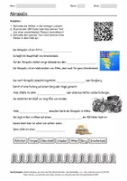 Vorschau - Arbeitsblätter - Arbeitsblatt zum Thema "Akropolis" + Onlineübung & MP3 + Mindmap + Infografik - Deckblatt