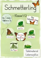 Vorschau - Präsentationen/Tafelbilder - Der Schmetterling - Lebenszyklus (Tafelmaterial) - Deckblatt
