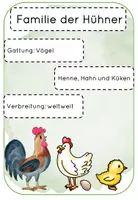 Vorschau - Arbeitsblätter - Info Kartei Familie Huhn 3 fach differenziert - Seite 1