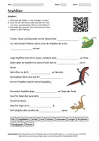 Vorschau - Arbeitsblätter - Arbeitsblatt zum Thema "Amphibien" + Onlineübung & MP3 + Mindmap + Infografik - Deckblatt