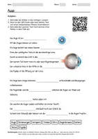 Vorschau - Arbeitsblätter - Arbeitsblatt zum Thema "Auge" + Onlineübung & MP3 + Mindmap + Infografik - Deckblatt