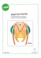 Vorschau - Mal- und Bastelvorlagen - Insekten-Poster zum Ausmalen für die Gruppe - Seite 2