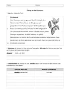 Vorschau - Arbeitsblätter - Wortarten Schokolade Übung - Deckblatt